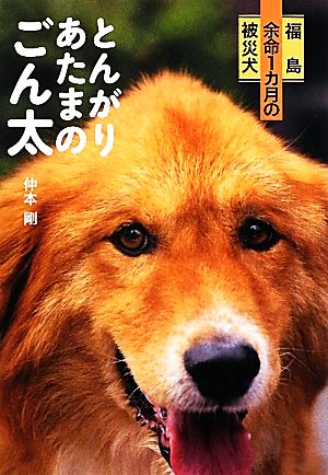 とんがりあたまのごん太 福島余命1カ月の被災犬