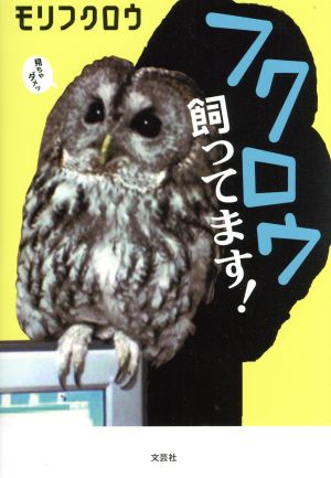 フクロウ飼ってます！