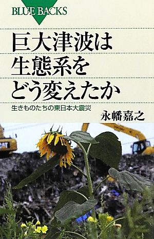 巨大津波は生態系をどう変えたか 生きものたちの東日本大震災 ブルーバックス