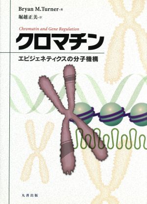 クロマチン エピジュネティクスの分子機構