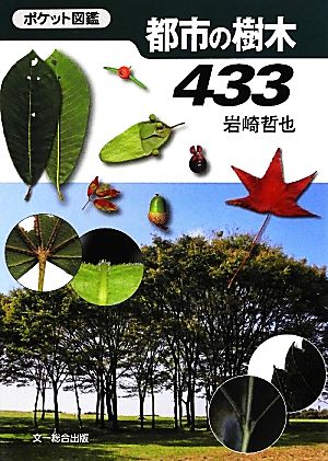 都市の樹木433(433)