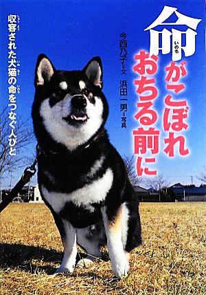 命がこぼれおちる前に 収容された犬猫の命をつなぐ人びと 感動ノンフィクション