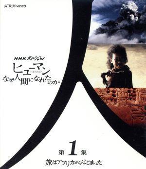 NHKスペシャル ヒューマン なぜ人間になれたのか 第1集 旅はアフリカからはじまった(Blu-ray Disc)