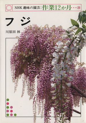 趣味の園芸 フジ NHK趣味の園芸 作業12か月28