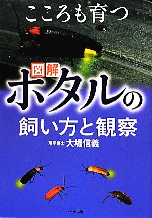 図解 ホタルの飼い方と観察 こころも育つ