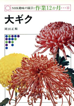 趣味の園芸 大ギク NHK趣味の園芸 作業12か月4