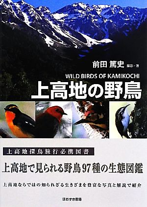 上高地の野鳥