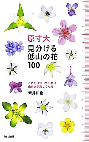 原寸大 見分ける低山の花100これだけ知っていれば山歩きが楽しくなる