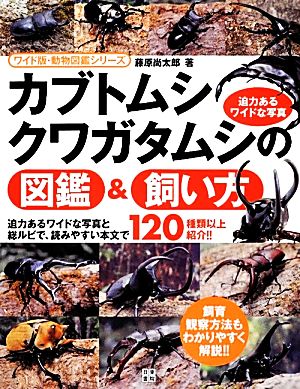 カブトムシ・クワガタムシの図鑑&飼い方 ワイド版・動物図鑑シリーズ