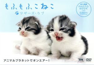 もふもふこねこ～マザーズ・ラブ～