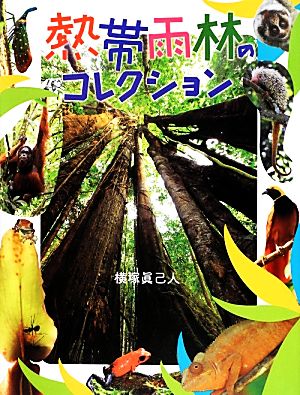 熱帯雨林のコレクション ふしぎコレクション7