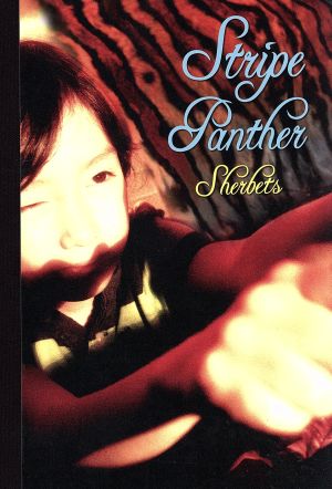 STRIPE PANTHER(初回限定盤)(特典CD付)