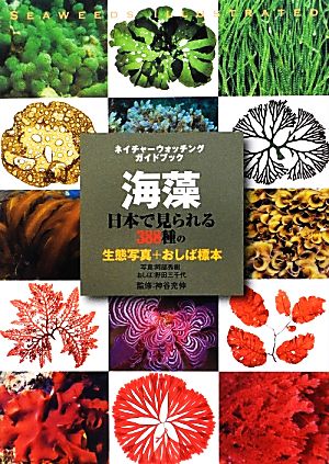 海藻日本で見られる388種の生態写真+おしば標本ネイチャーウォッチングガイドブック