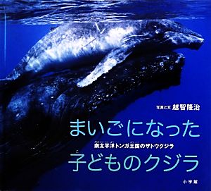 まいごになった子どものクジラ南太平洋トンガ王国のザトウクジラ小学館の図鑑NEOの科学絵本