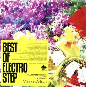 BEST OF ELECTRO STEP