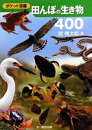 田んぼの生き物400