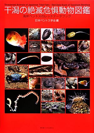 干潟の絶滅危惧動物図鑑海岸ベントスのレッドデータブック