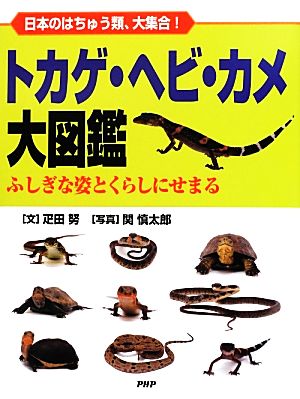 トカゲ・ヘビ・カメ大図鑑 日本のはちゅう類、大集合！ふしぎな姿とくらしにせまる