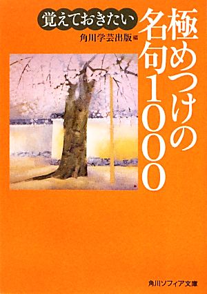 覚えておきたい極めつけの名句1000 角川ソフィア文庫