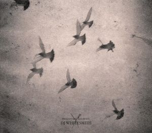 Hesitation Artifact