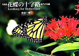 写真集 花蝶の十字路 北アメリカ篇 Looking for Butterflies