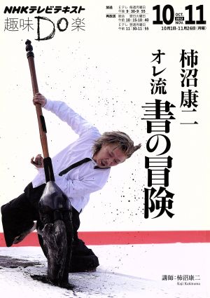 趣味Do楽 柿沼康二 オレ流 書の冒険(2012年10・11月) NHKテレビテキスト