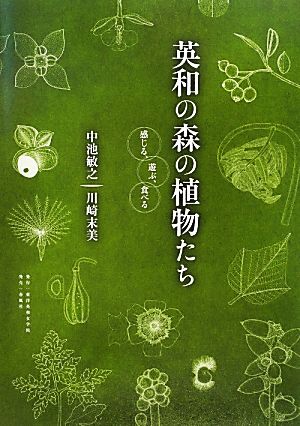 英和の森の植物たち 感じる、遊ぶ、食べる