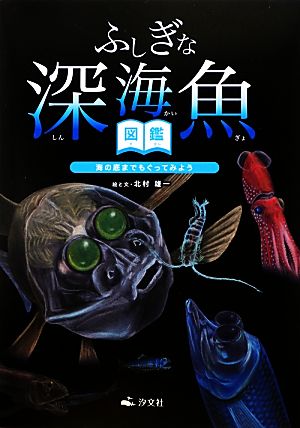 ふしぎな深海魚図鑑海の底までもぐってみよう