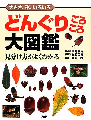 大きさ、形、いろいろ どんぐりころころ大図鑑 見分け方がよくわかる