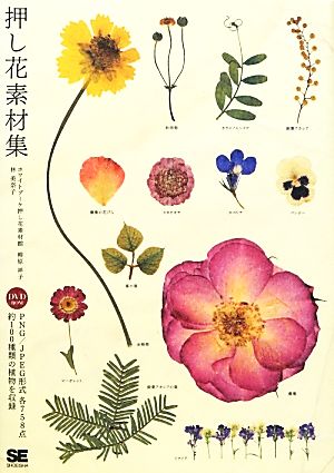 押し花素材集