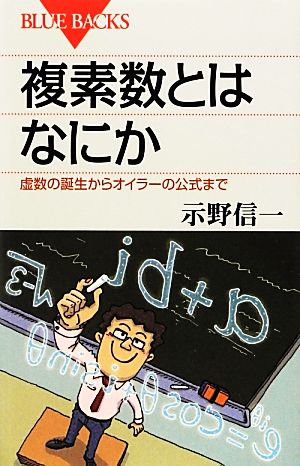 複素数とはなにか虚数の誕生からオイラーの公式までブルーバックス