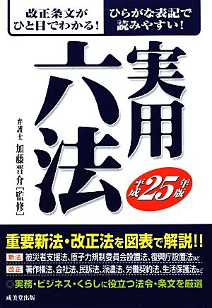 実用六法(平成25年版)