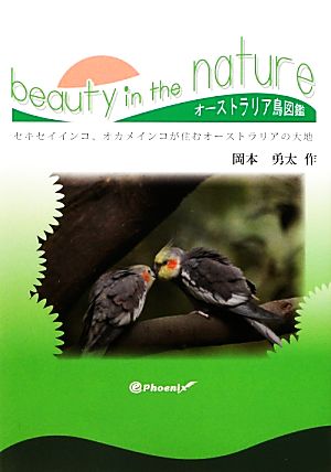 beauty in the nature セキセイインコ、オカメインコが住むオーストラリアの大地