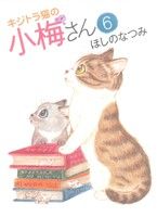 キジトラ猫の小梅さん(6)ねこぱんちC