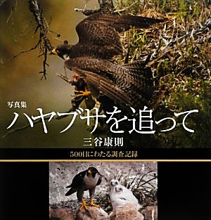 写真集 ハヤブサを追って 500日にわたる調査記録