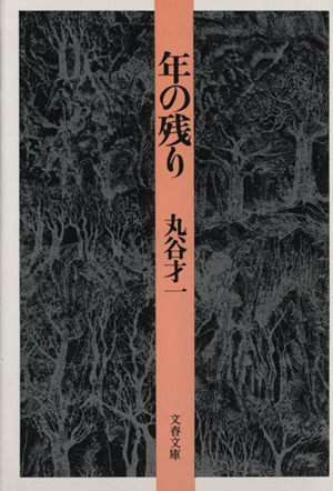 年の残り 文春文庫