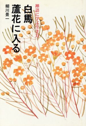 白馬蘆花に入る 禅語に学ぶ生き方