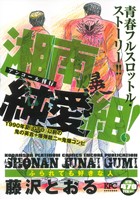 【廉価版】湘南純愛組！ ふられても好きな人(アンコール刊行)(21) 講談社プラチナC