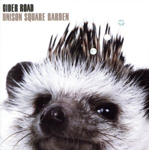 CIDER ROAD(初回限定盤)(DVD付)