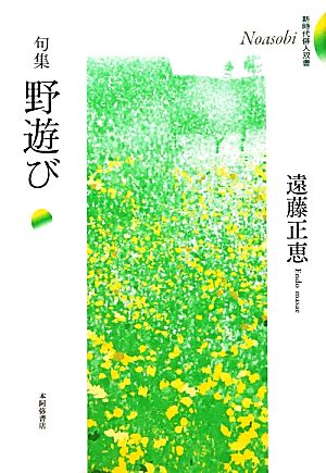 句集 野遊び 新時代俳人双書