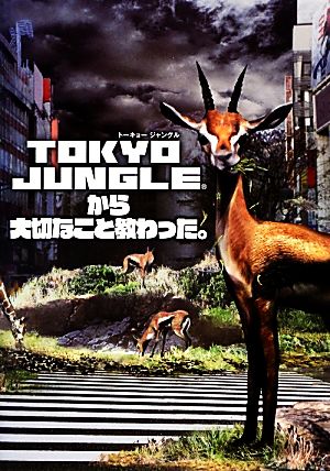 TOKYO JUNGLEから大切なこと教わった。