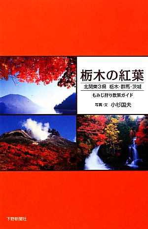 栃木の紅葉北関東3県 栃木・群馬・茨城もみじ狩り散策ガイド