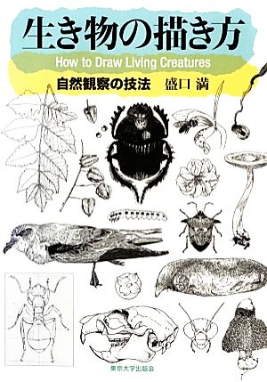 生き物の描き方 自然観察の技法