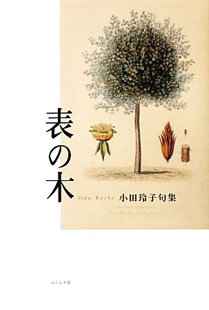 句集 表の木 小田玲子句集 百鳥叢書