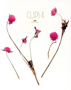 Kiyoharu CLIPS Ⅱ(Blu-ray Disc)