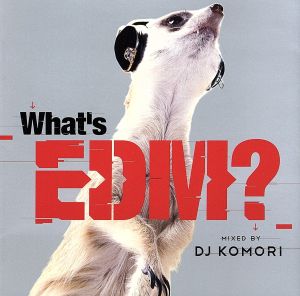 WHAT'S EDM？ MIXED BY DJ KOMORI