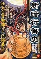 【廉価版】新暗行御史 さすらう暗行御史(1) マイファーストビッグ