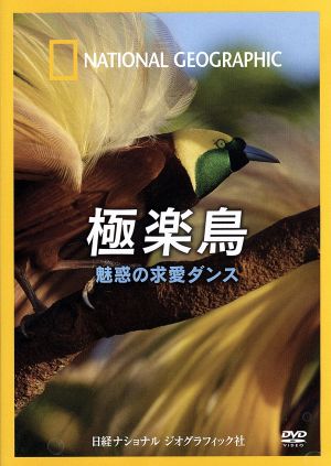 ナショナル ジオグラフィック 極楽鳥 魅惑の求愛ダンス