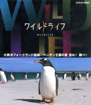 ワイルドライフ 大西洋 フォークランド諸島 ペンギン王国の夏 走れ！跳べ！(Blu-ray Disc)