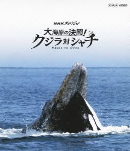 NHKスペシャル 大海原の決闘！ クジラ対シャチ(Blu-ray Disc)